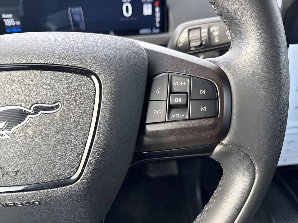 2022 Ford Mustang Mach-E - Image 15 of 21