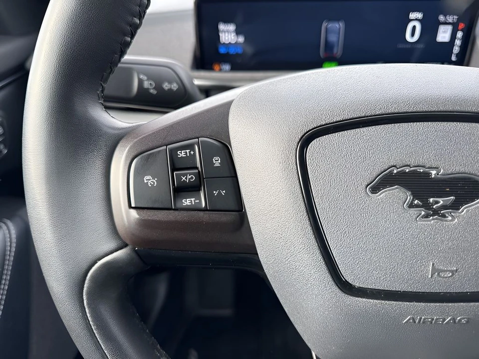 2022 Ford Mustang Mach-E - Image 14 of 21