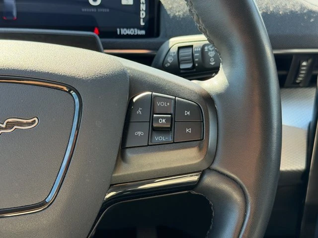 2022 Ford Mustang Mach-E - Image 19 of 20