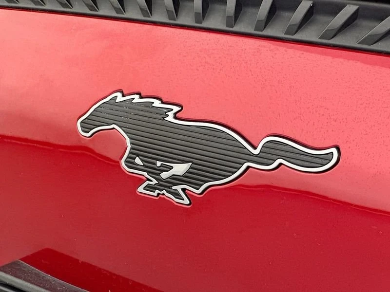 2022 Ford Mustang Mach-E - Image 10 of 16