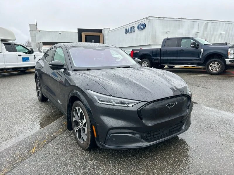 2022 Ford Mustang Mach-E - Image 3 of 19