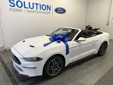 2022 Ford Mustang