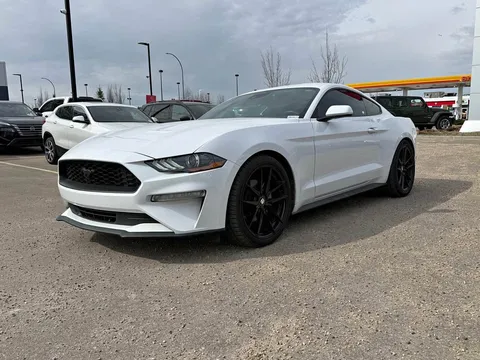 2022 Ford Mustang EcoBoost Fastback