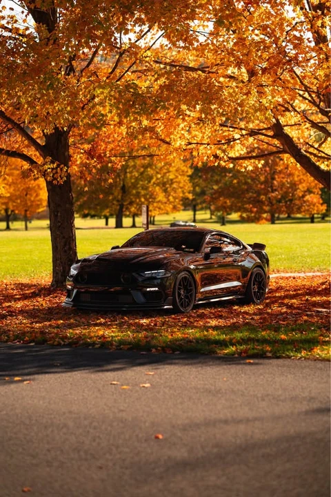 2022 Ford S550 Mustang - Image 9 of 13