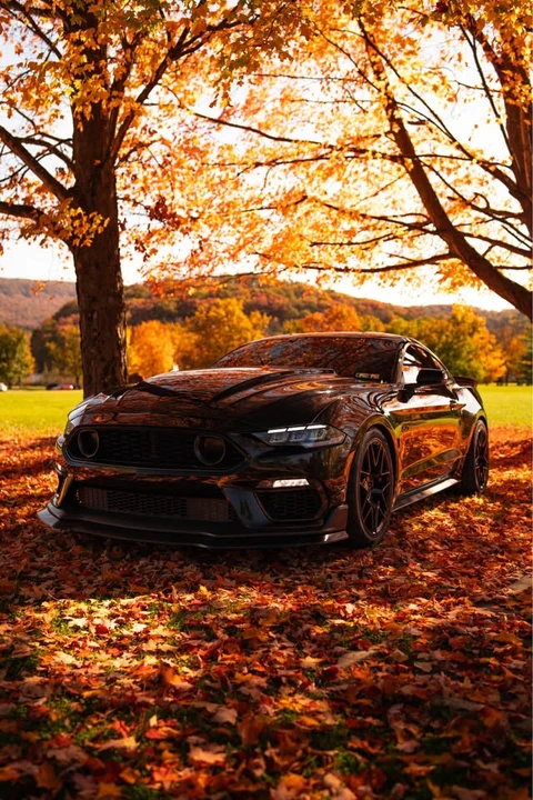 2022 Ford S550 Mustang - Image 7 of 13