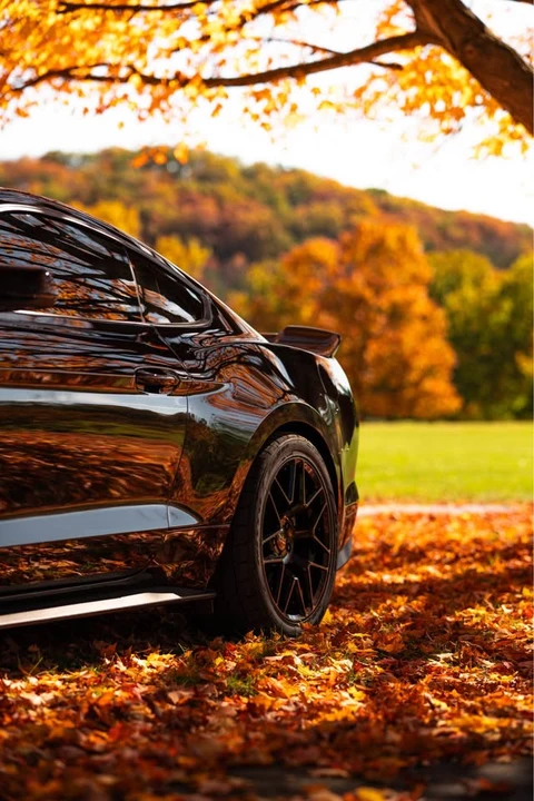 2022 Ford S550 Mustang - Image 10 of 13