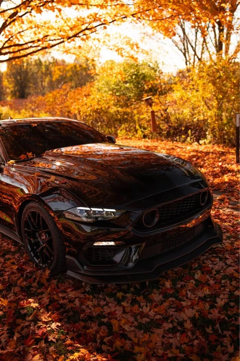 2022 Ford S550 Mustang - Image 8 of 13