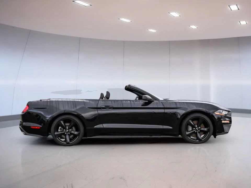 2022 Ford S550 Mustang - Image 2 of 19