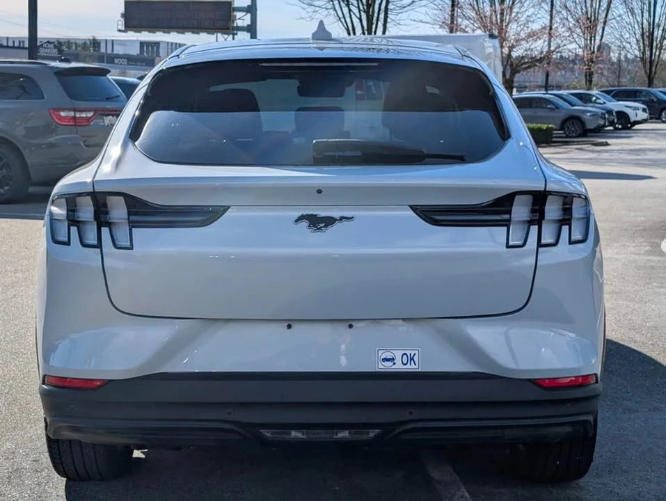 2022 Ford Mustang Mach-E - Image 10 of 10