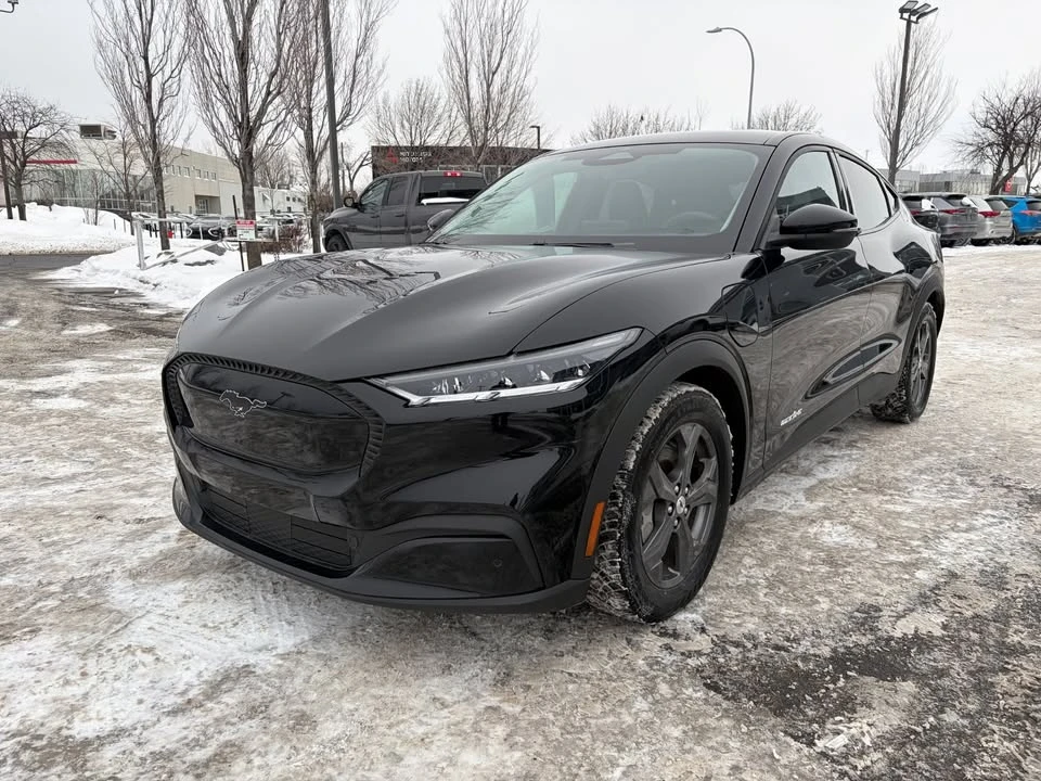 2022 Ford Mustang Mach-E - Image 5 of 20