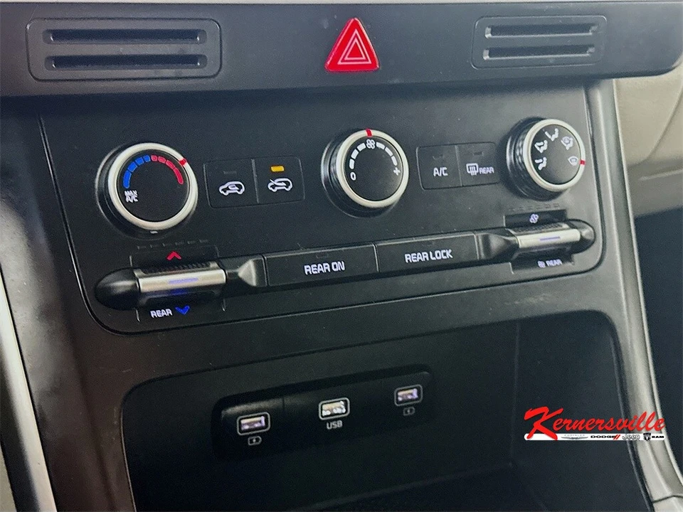 2022 Kia Carnival - Image 18 of 21