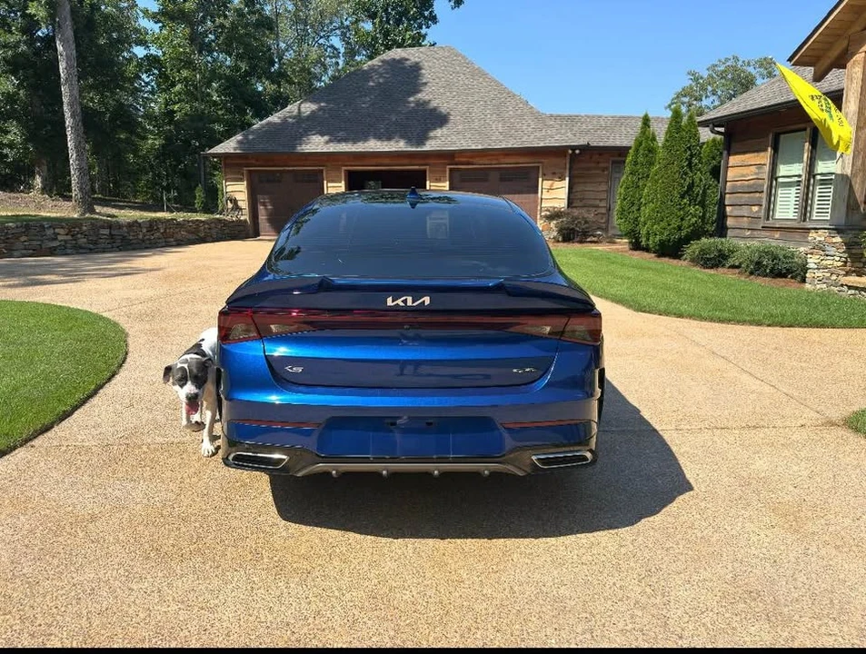2022 Kia Optima/K5 - Image 4 of 8