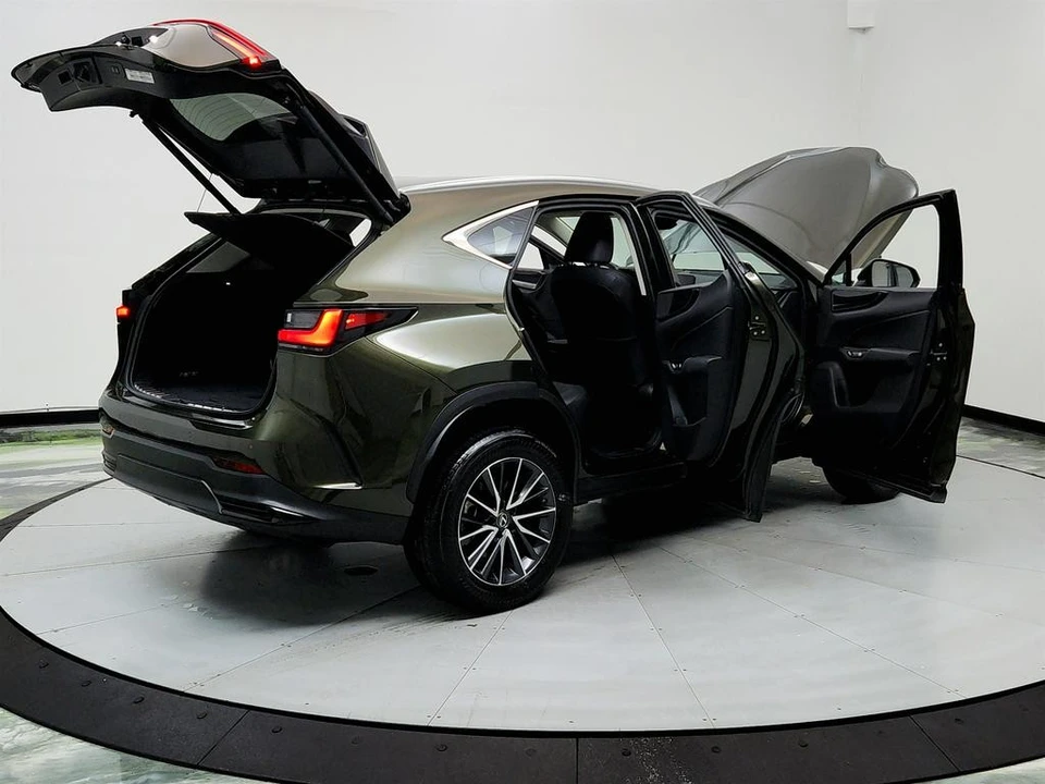 2022 Lexus NX 2nd Gen - Image 11 of 12