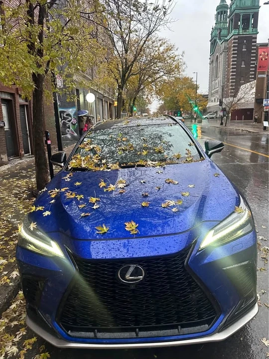 2022 Lexus NX 2nd Gen - Image 8 of 13