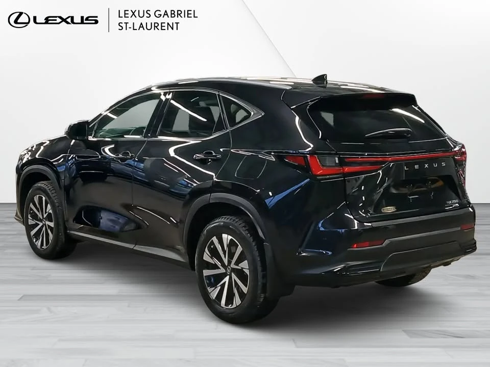 2022 Lexus NX 2nd Gen - Image 6 of 16