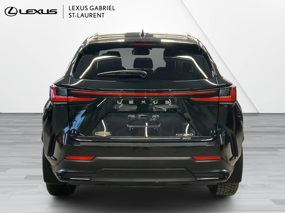 2022 Lexus NX 2nd Gen - Image 5 of 16