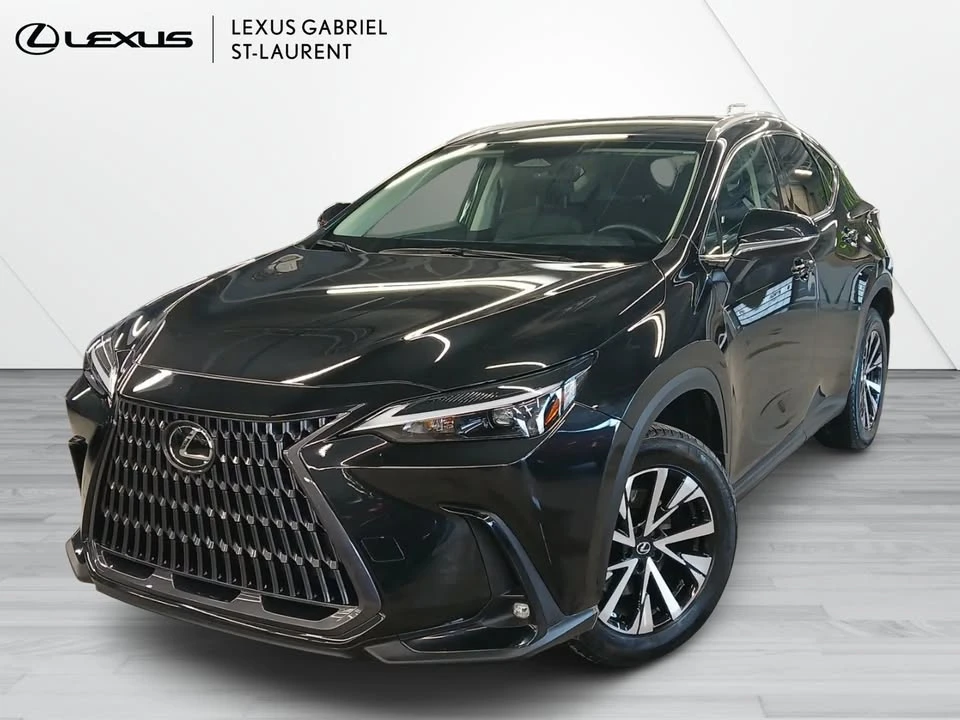 2022 Lexus NX 2nd Gen - Image 16 of 16