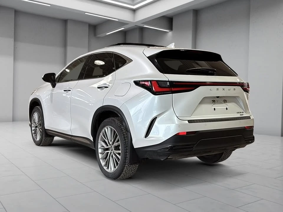 2022 Lexus NX 2nd Gen - Image 6 of 20
