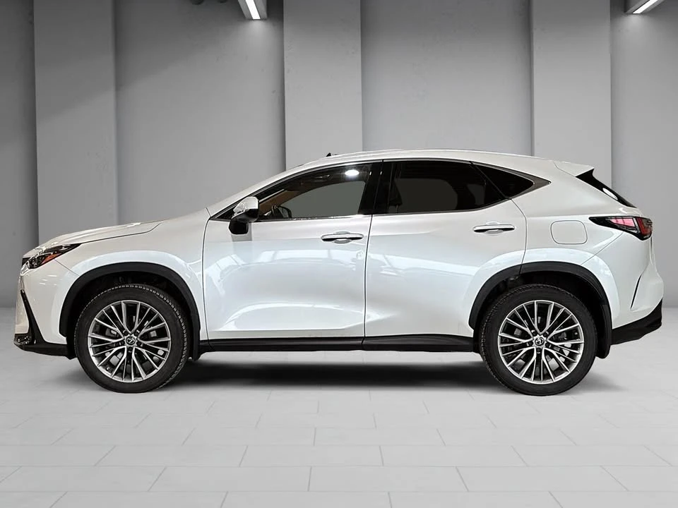 2022 Lexus NX 2nd Gen - Image 4 of 20