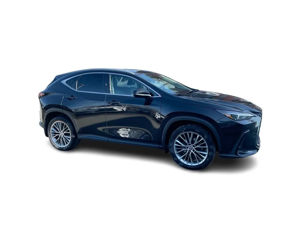 2022 Lexus NX 2nd Gen - Image 17 of 20