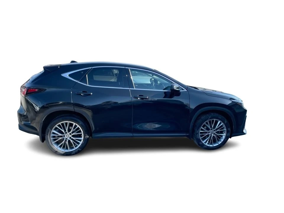 2022 Lexus NX 2nd Gen - Image 16 of 20