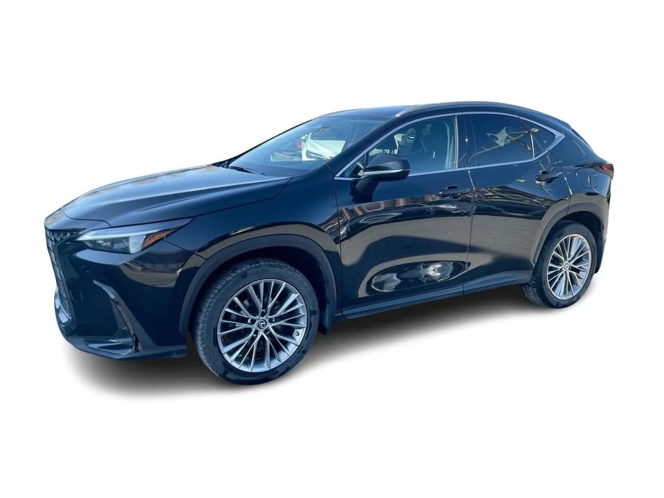 2022 Lexus NX 2nd Gen - Image 7 of 20