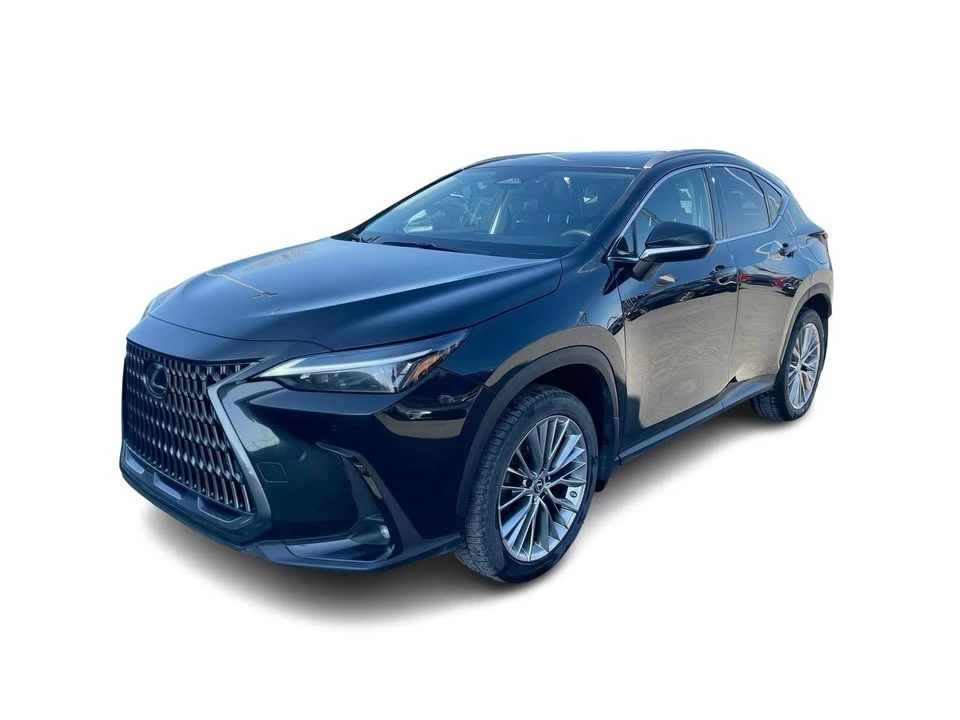 2022 Lexus NX 2nd Gen - Image 6 of 20