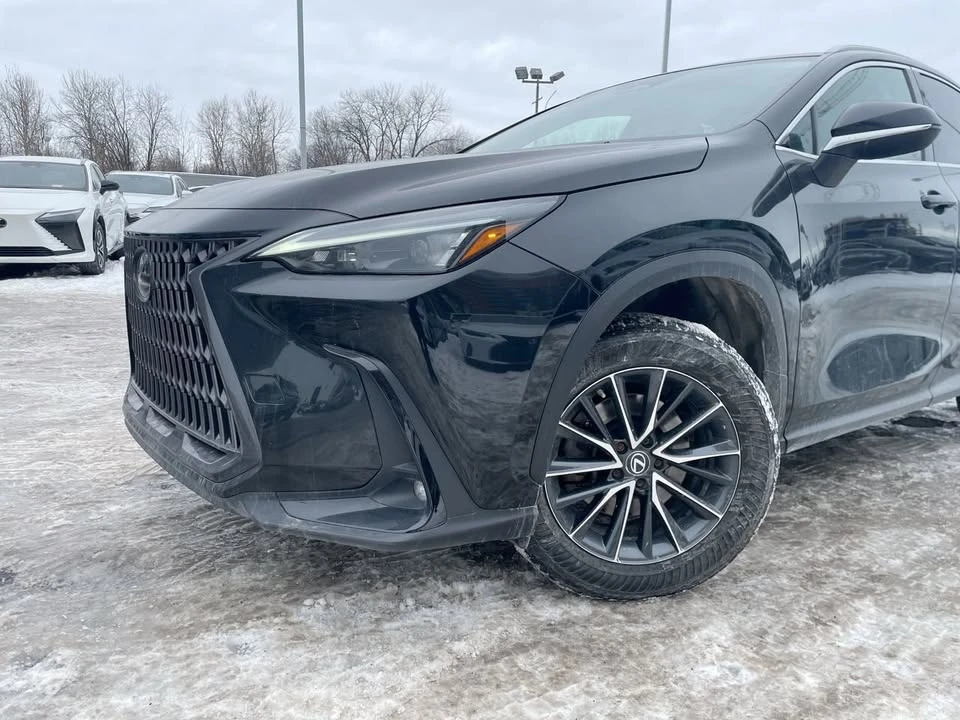 2022 Lexus NX 2nd Gen - Image 17 of 19