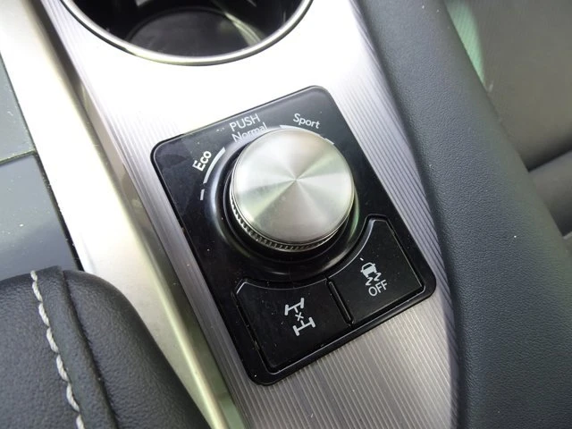 2022 Lexus RX 4th Gen - Image 19 of 20