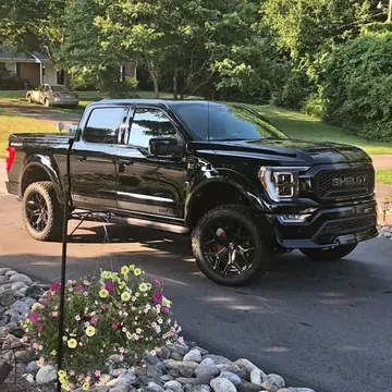 2022 Shelby F150