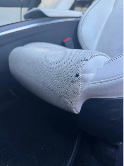 2022 Tesla Model S Plaid - Image 18 of 20