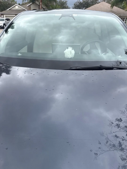 2022 Tesla Model Y - Image 5 of 9
