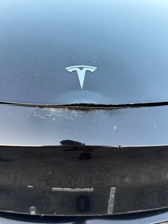2022 Tesla Model Y - Image 4 of 13