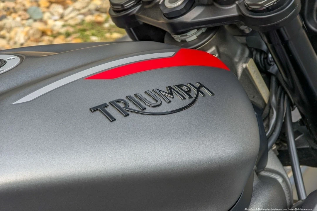 2022 Triumph - Image 19 of 21
