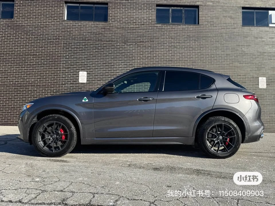 2023 Alfa Romeo Stelvio - Image 2 of 10