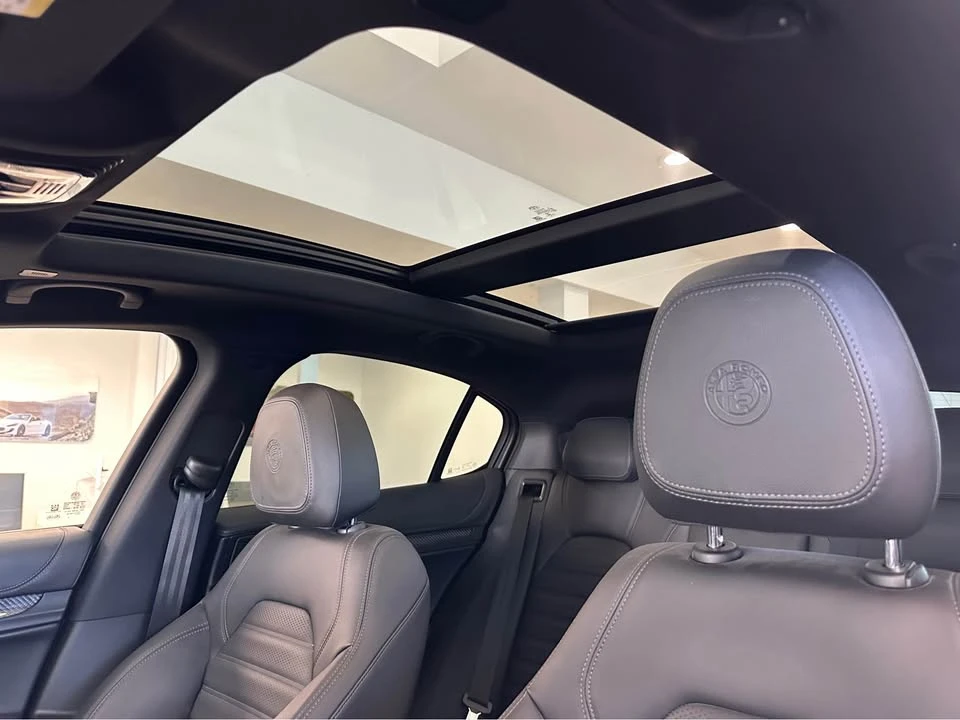 2023 Alfa Romeo Stelvio Quadrifoglio - Image 10 of 20