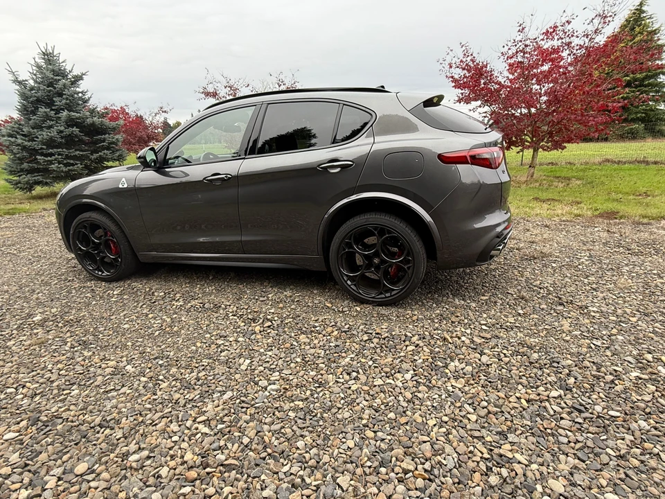 2023 Alfa Romeo Stelvio Quadrifoglio - Image 10 of 31