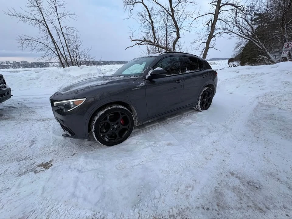 2023 Alfa Romeo Stelvio - Image 6 of 10