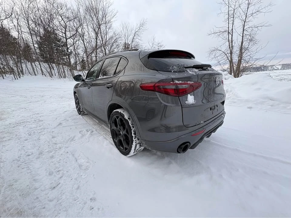 2023 Alfa Romeo Stelvio - Image 4 of 10