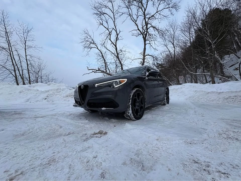2023 Alfa Romeo Stelvio - Image 2 of 10