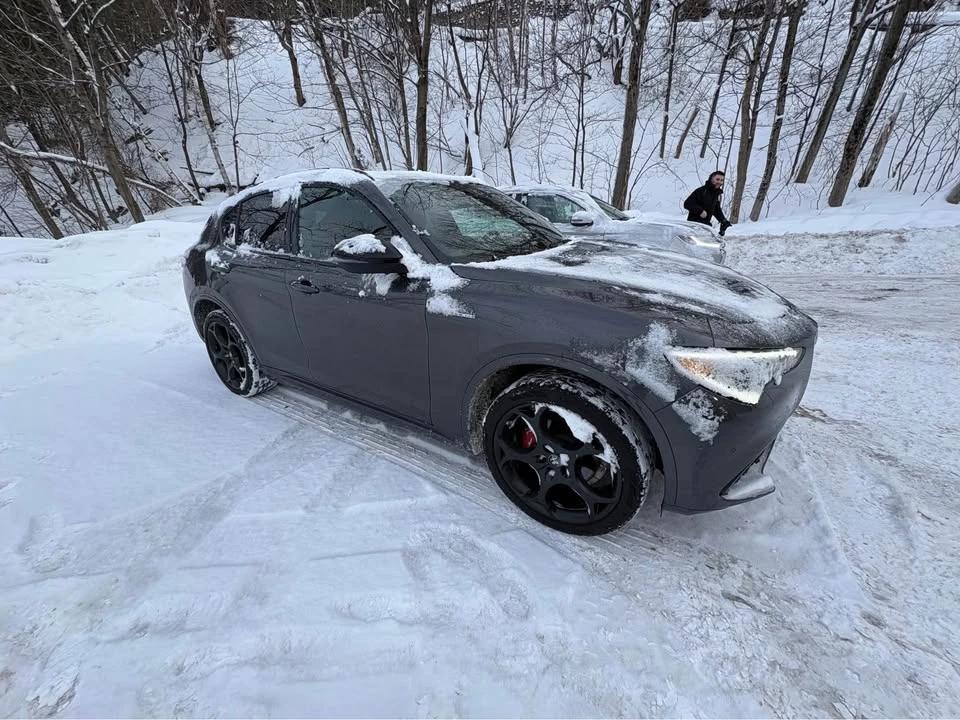 2023 Alfa Romeo Stelvio - Image 7 of 10
