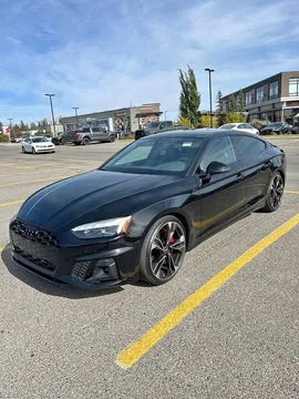 2023 Audi S5 Prestige