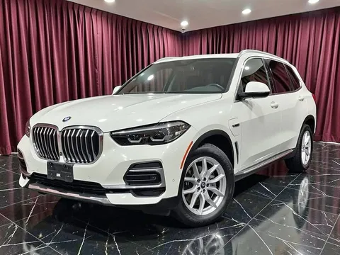 2023 BMW X5 xDrive45e