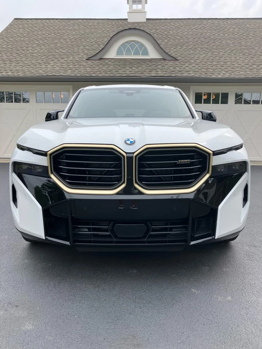 2023 BMW XM - Image 4 of 31