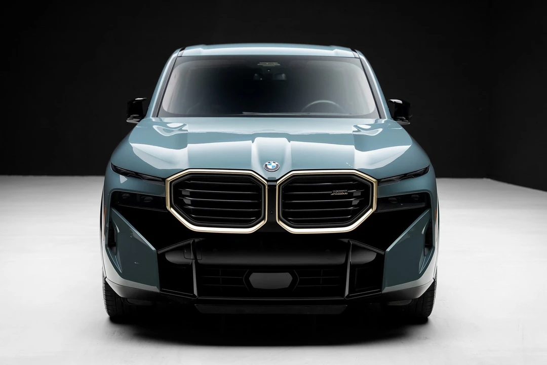2023 BMW XM - Image 6 of 12