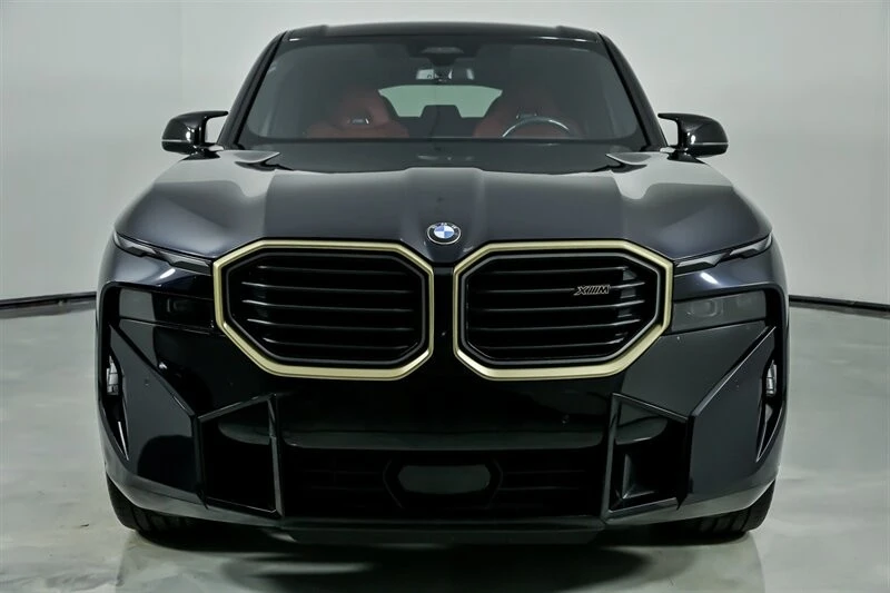 2023 BMW XM - Image 6 of 12