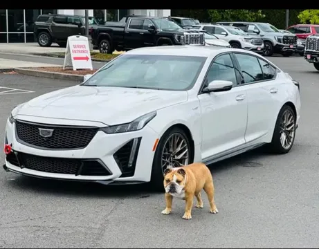 2023 Cadillac CT5-V Blackwing Sedan 4D