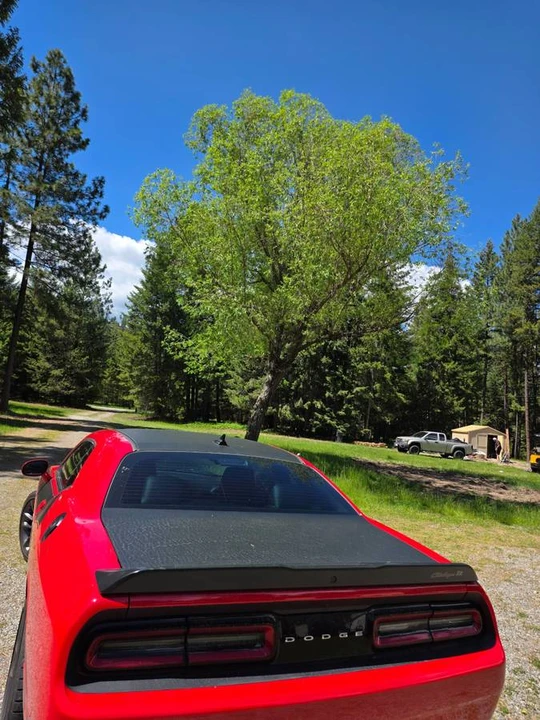 2023 Dodge Challenger 3rd Gen - Image 9 of 17