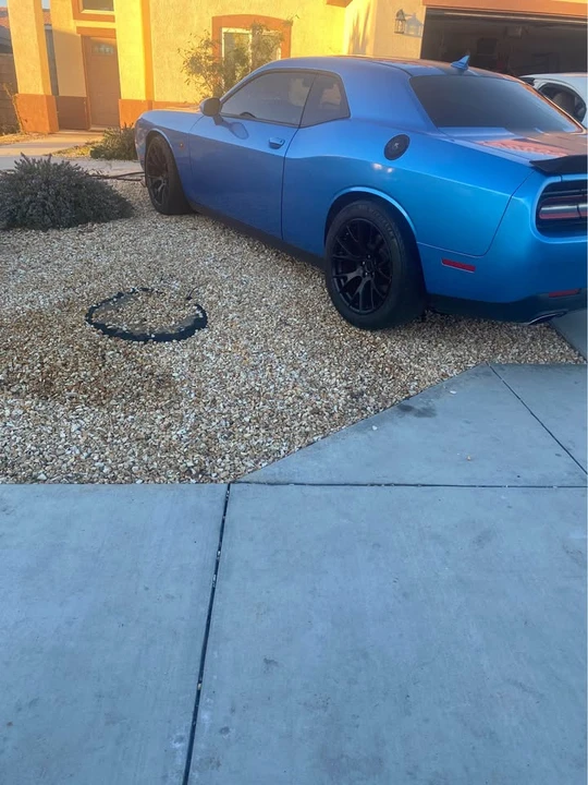 2023 Dodge Challenger SRT8 & 392 3rd Gen - Image 5 of 16