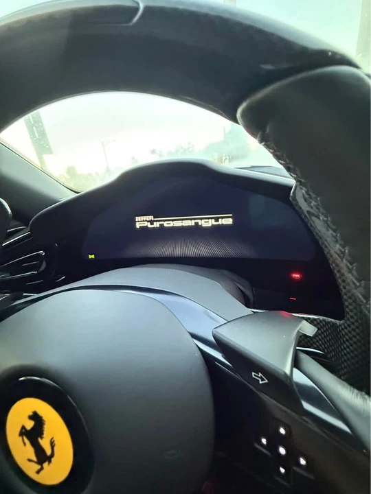 2023 Ferrari Purosangue - Image 14 of 20
